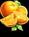 fruit (26)